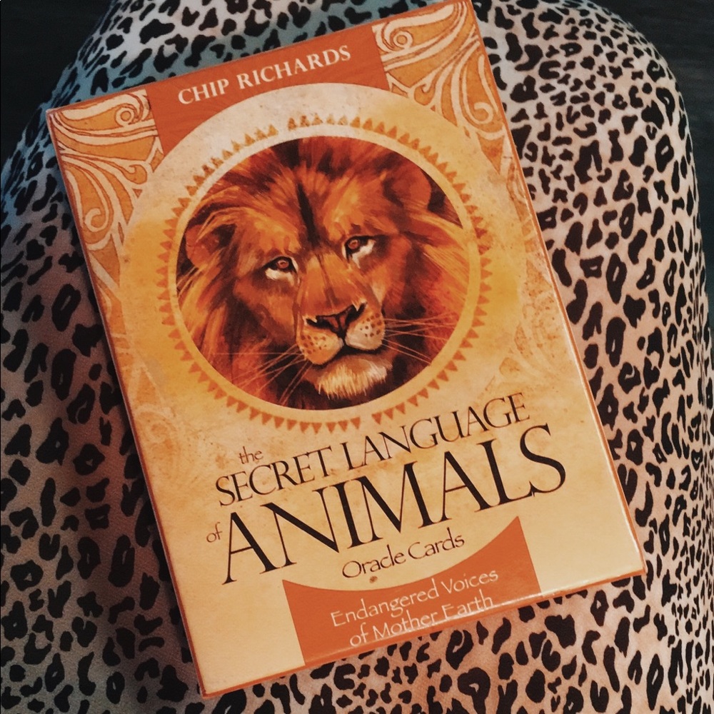 Oracle Cards